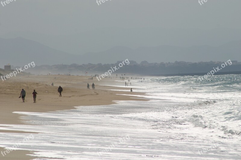 Beach Sea Wave Sea Water Water