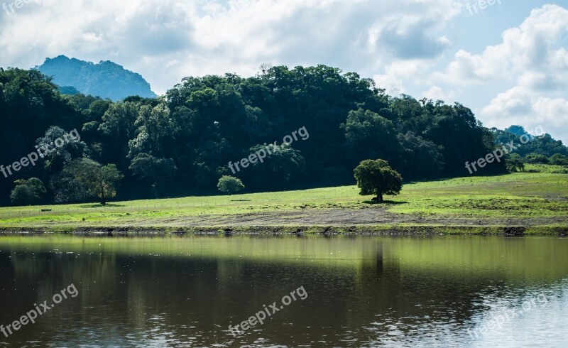 Landscape Tree Nature Grass Sky