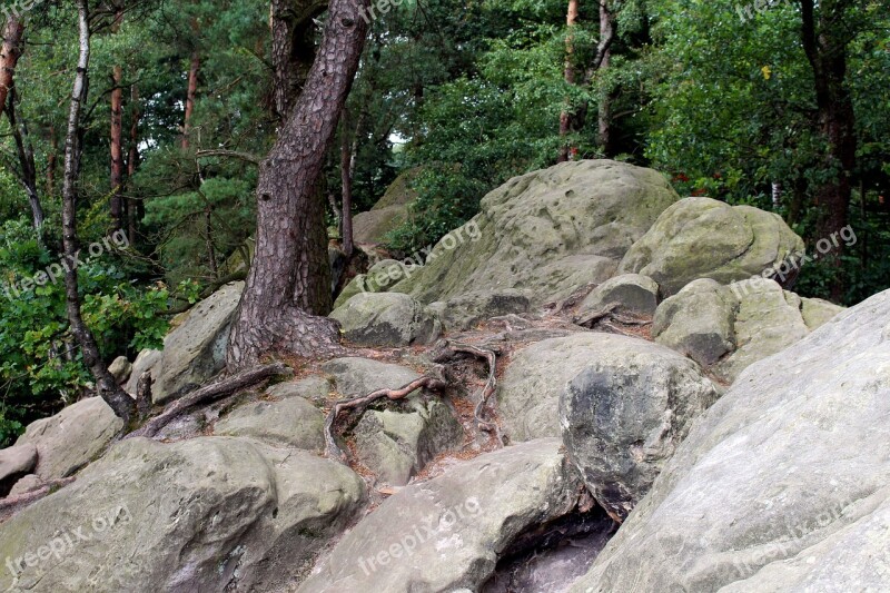 Dörenther Clip Teutoburg Forest Stones Rock Sandstone-rock Formation