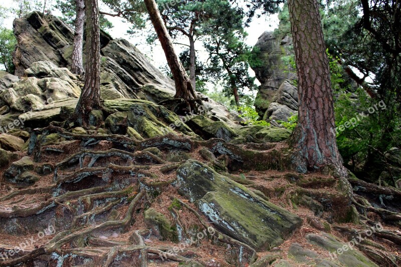 Dörenther Clip Teutoburg Forest Stones Rock Sandstone-rock Formation