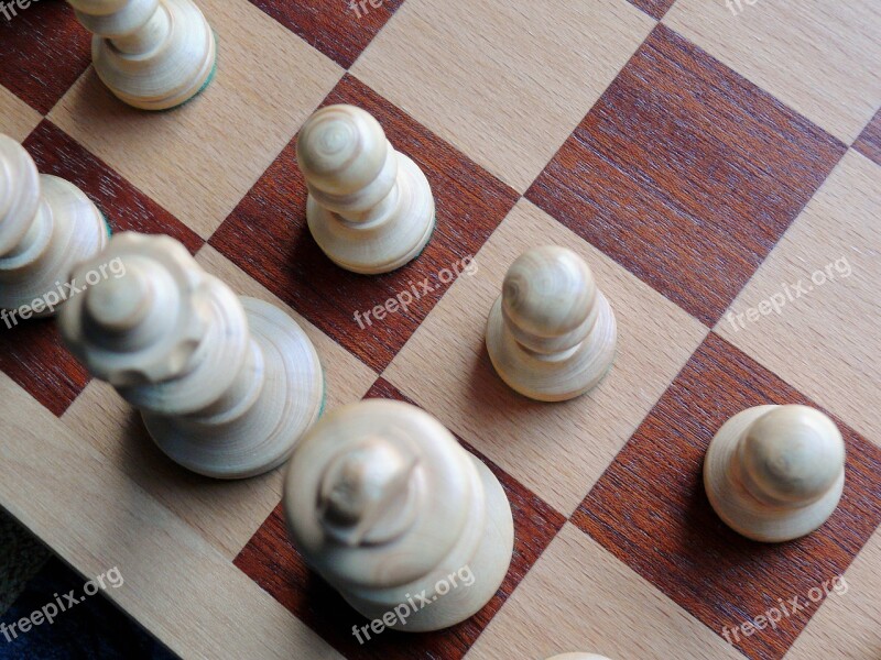 Chess Chess Board Chess Pieces Checkmated Chess Game