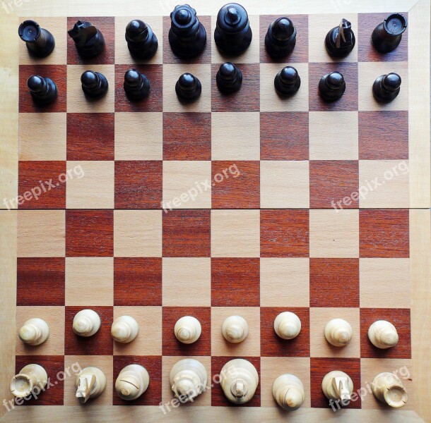 Chess Chess Board Chess Pieces Checkmated Chess Game