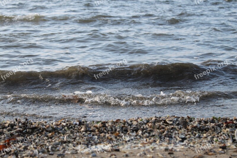 Wave Water Beach Sand River