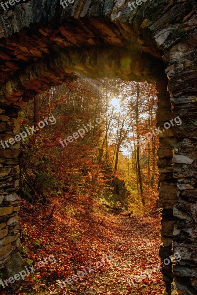 Sunset Forest Ruin Carinthia Kerbl