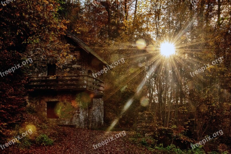 Sunset Forest Carinthia Kerbl Free Photos