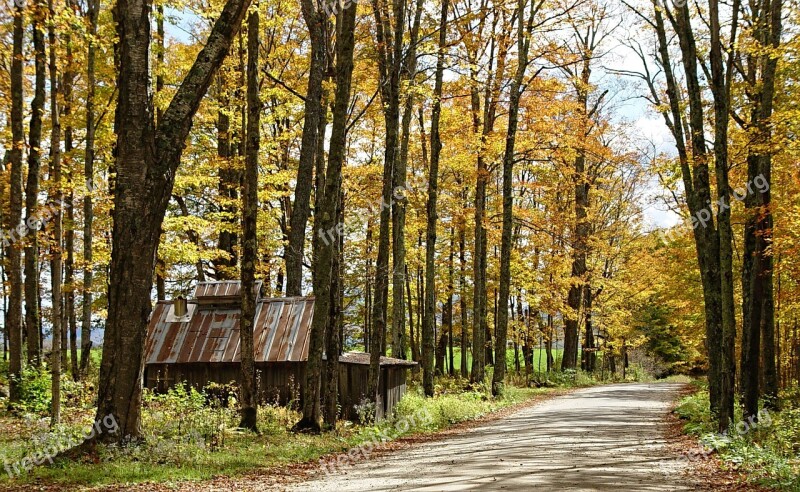 Vermont Newark Fall Foliage Autumn Northeast