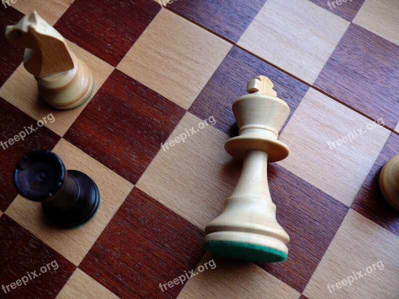 Chess Chess Board Chess Pieces Checkmated Chess Game