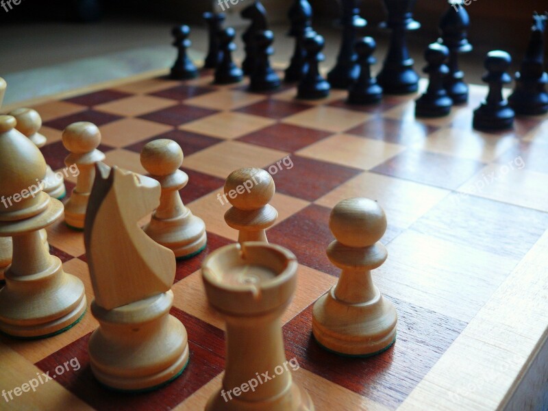 Chess Chess Board Chess Pieces Checkmated Chess Game