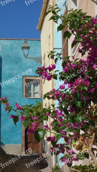 Sardinia Colorful Architecture Contour House