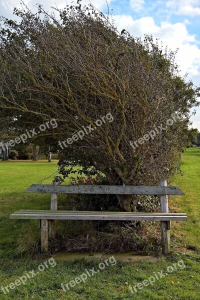 Landscape Nature Bank On The Hiking Trail To The Sea Bush Hedge Kink