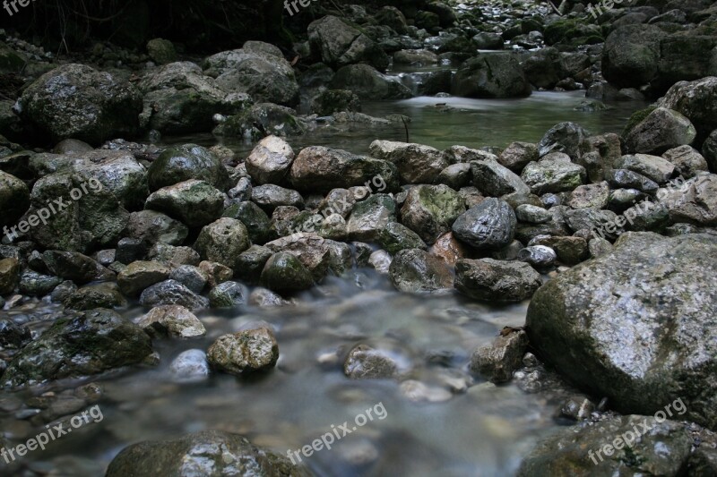 River Creek Bach Nature Water