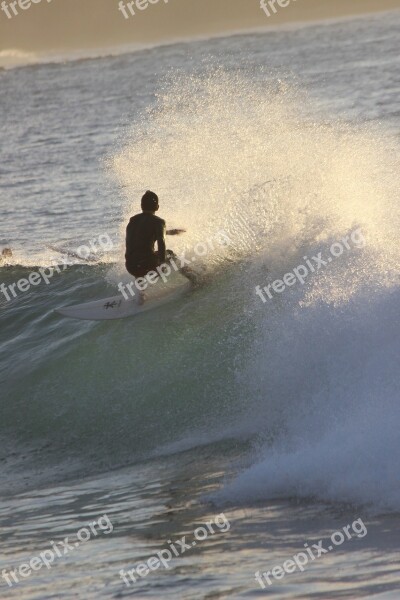 Surfing Surf Ocean Spray Hawaii