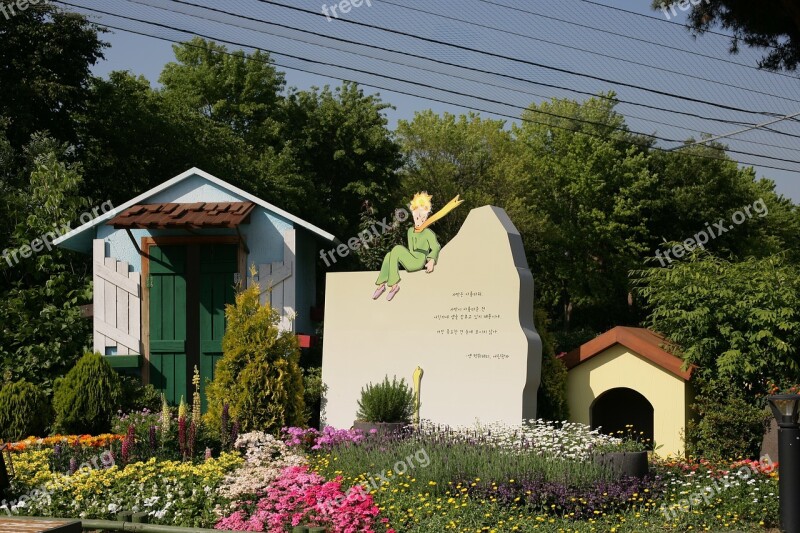 The Little Prince Flowers Rose Pink Seoul