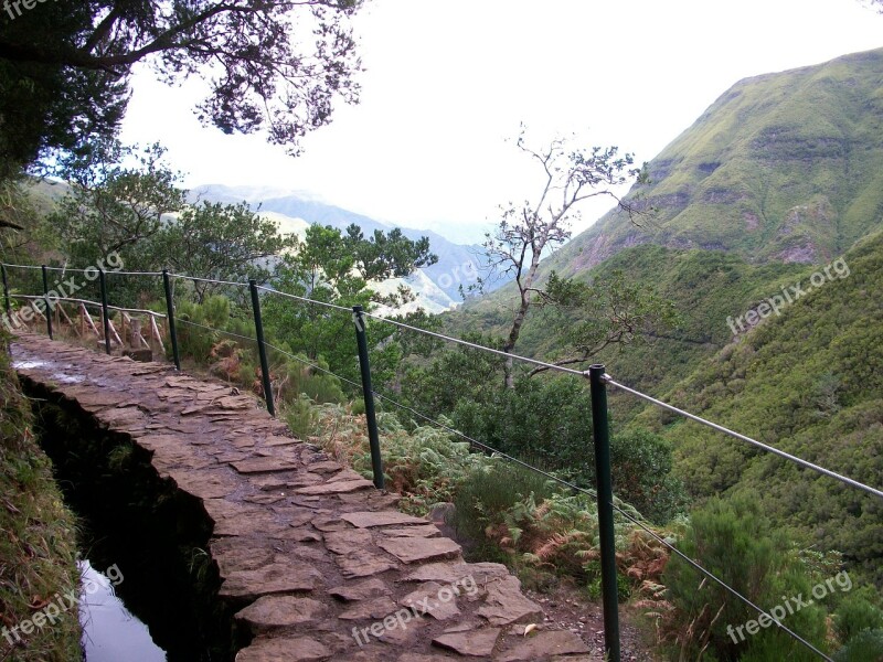 Portugal Madeira Levada Hiking Free Photos