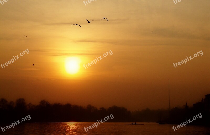 Sunset Sky Flying Birds The Backlight Landscape