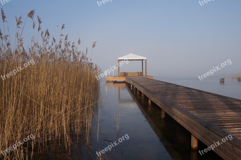 Web Water Bridge Boardwalk Lake