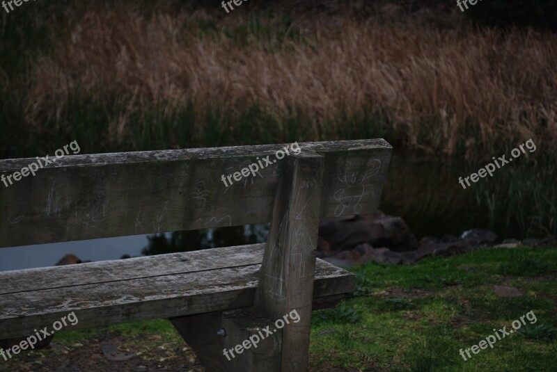 Bench Reeds Graffiti Lake Nature