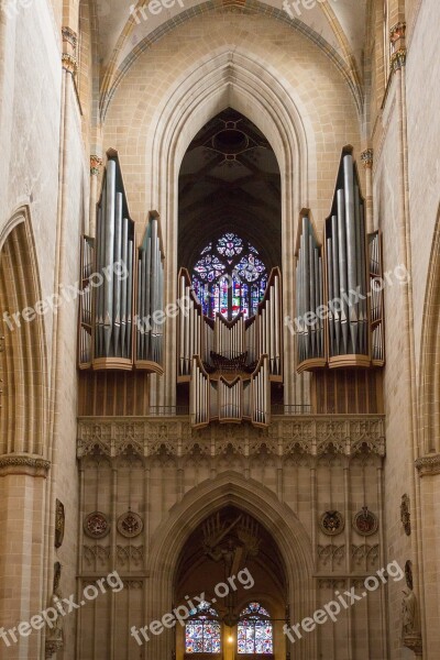 Ulm Ulm Cathedral Münster Organ Free Photos