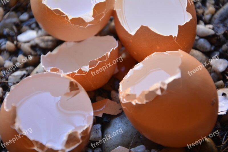 Egg Shells Broken Empty Free Photos