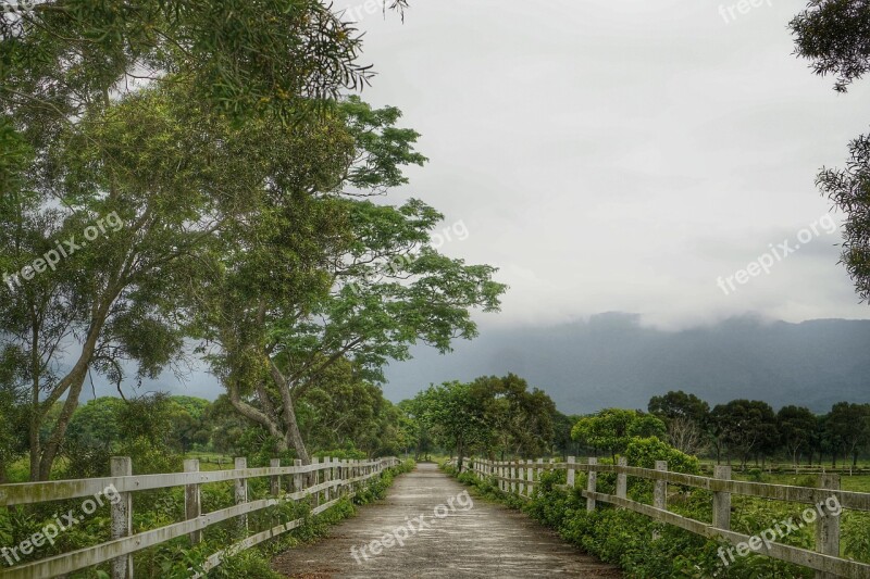 Taitung Looks Can't 盡 Green Oil Free Photos