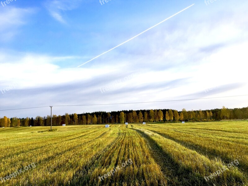 Ultervattnet Autumn Himmel Tree Forest