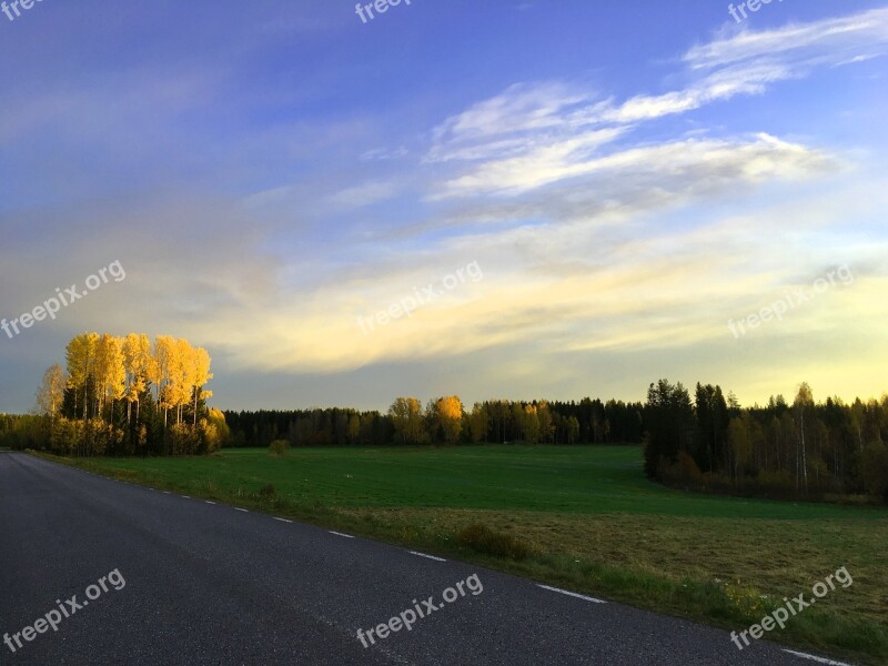 Ultervattnet Autumn Himmel Tree Forest