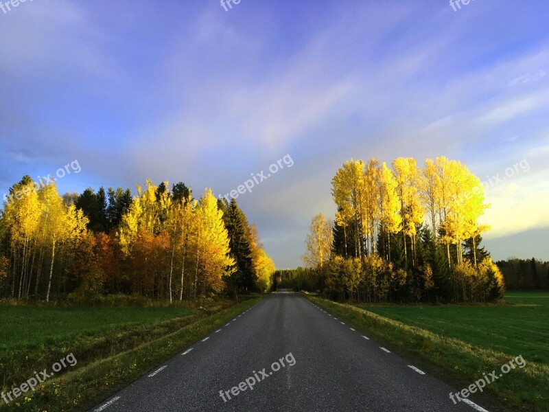 Ultervattnet Autumn Himmel Tree Forest