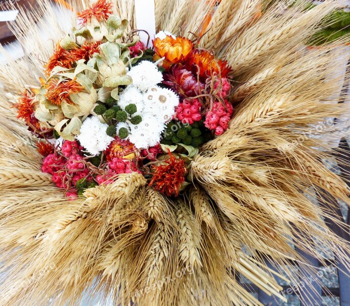 Dry Bouquet Flowers Spike Cereals Nature