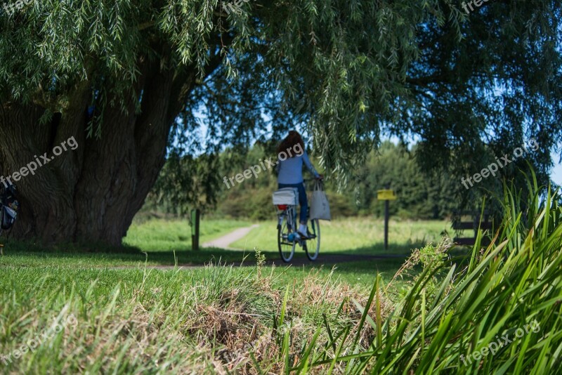 Bicycle Woman Park Green Bike