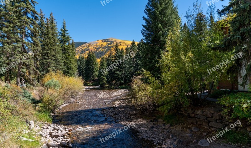 Vail Colorado Nature Foliage Rocky Mountains