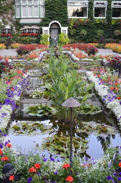 Water Garden Plants Flowers Bloom Butchart