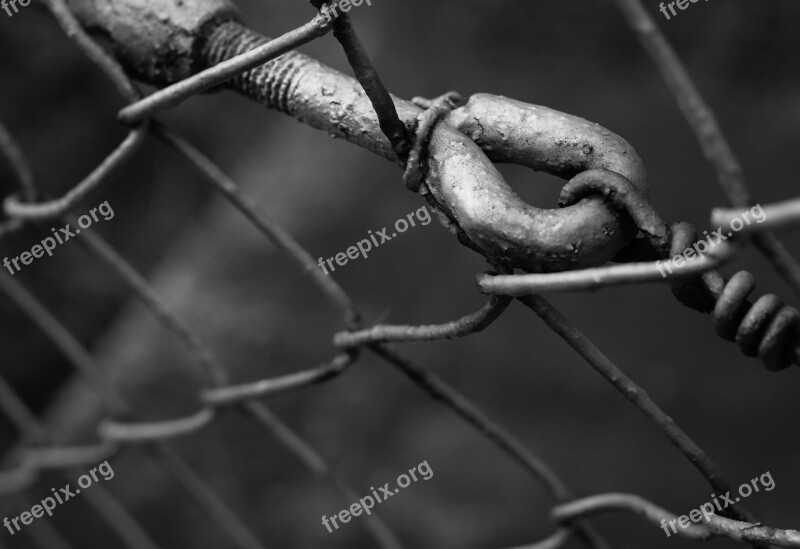 Hook Wire Black And White Fence Metal