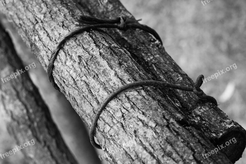 Branches Wire Wires Wood Log