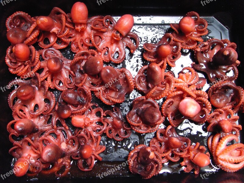 Octopus Food Kitchen Free Photos