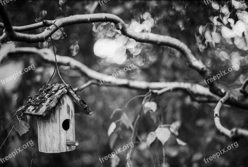 Bird House Black And White Monochrome Calm Free Photos