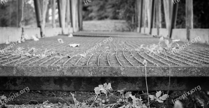 Bridge Path Railing Risk Atmosphere