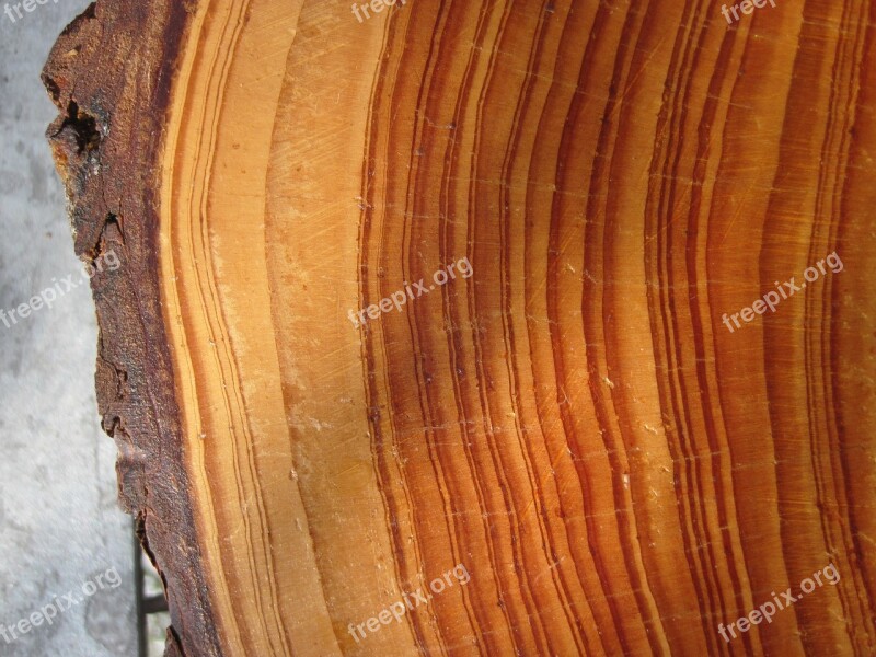 Wood Grain Wooden Structure Annual Rings Wooden Disc