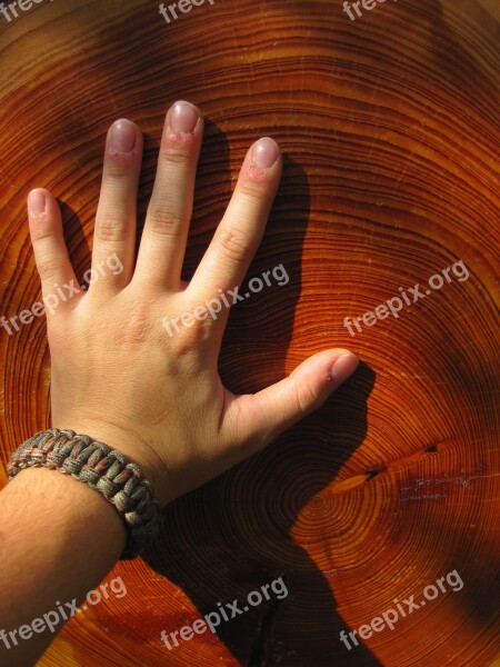 Wood Hand Grain Annual Rings Finger