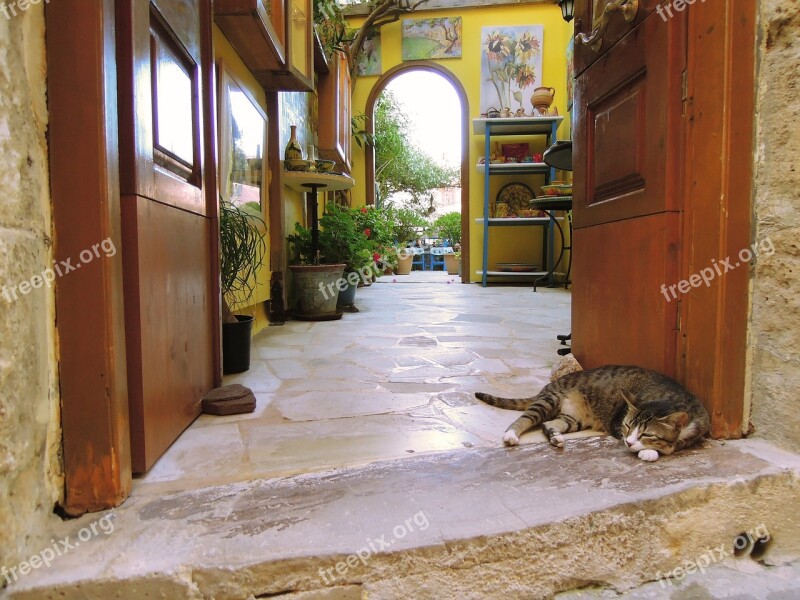 Chania Crete Island Greek Cat City