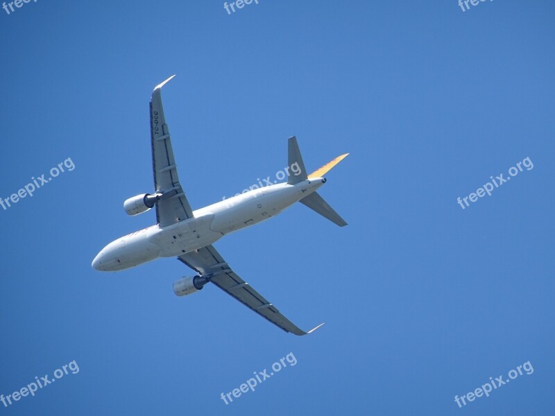 Aircraft Wing Technology Passenger Aircraft Detail