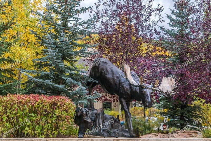 Vail Colorado Statue Moose Foliage