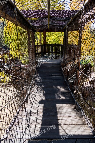 Vail Colorado Betty Ford Park Suspended Bridge Foliage