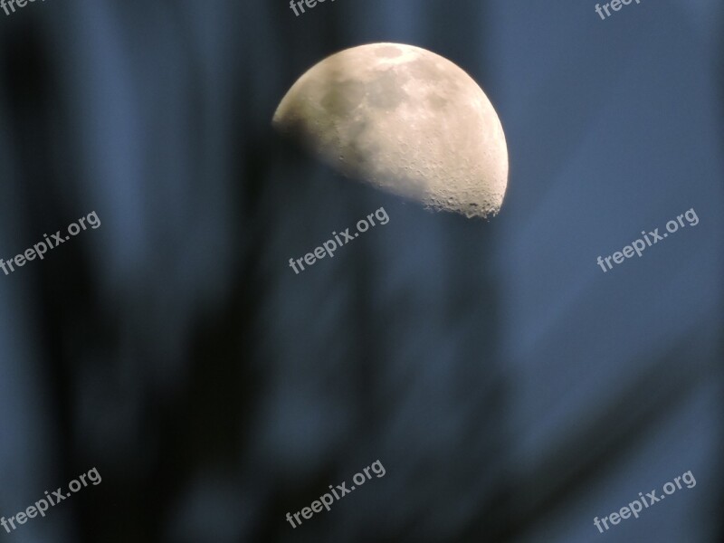 Moon Ilhabela Litoral Night Nature