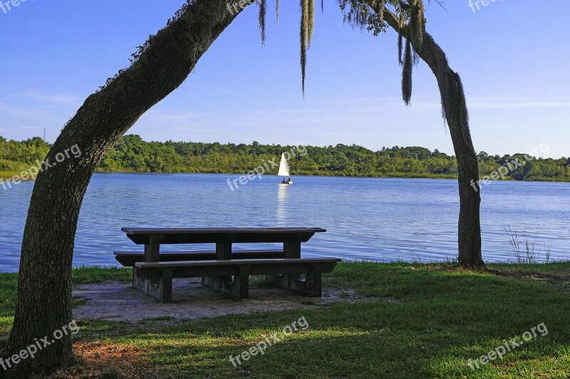 Landscape Lake Park Field Boat Sailing