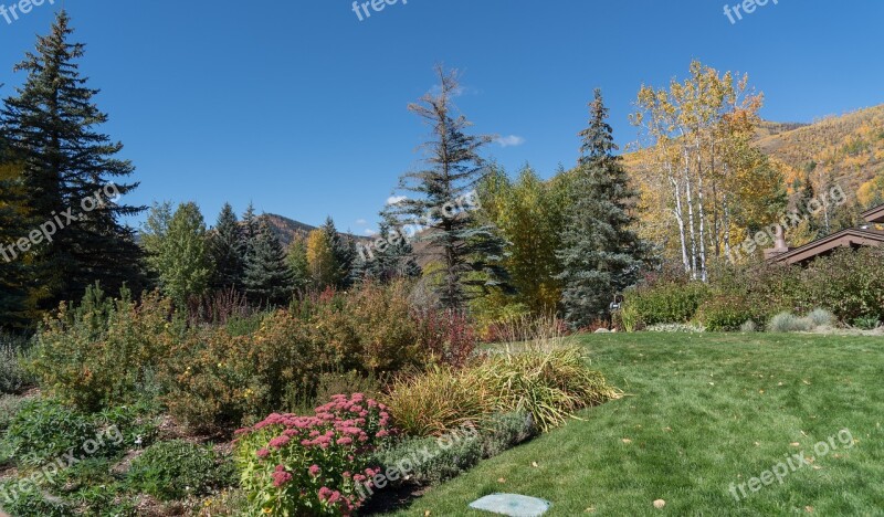 Vail Colorado Foliage Betty Ford Park Playground