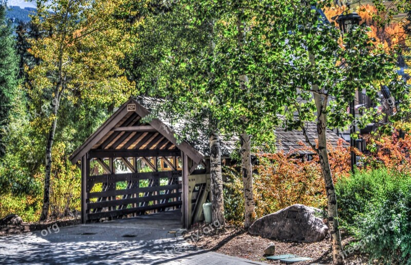 Vail Colorado Covered Bridge Foliage Nature