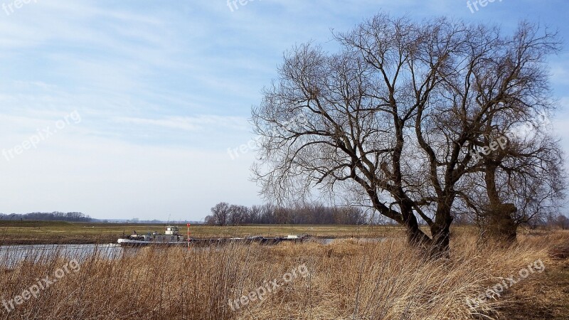 Landscape Tree Barge Kahn Elbe