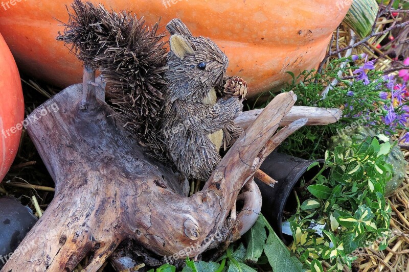 Thanksgiving Root Straw Effigy Squirrel Pumpkin