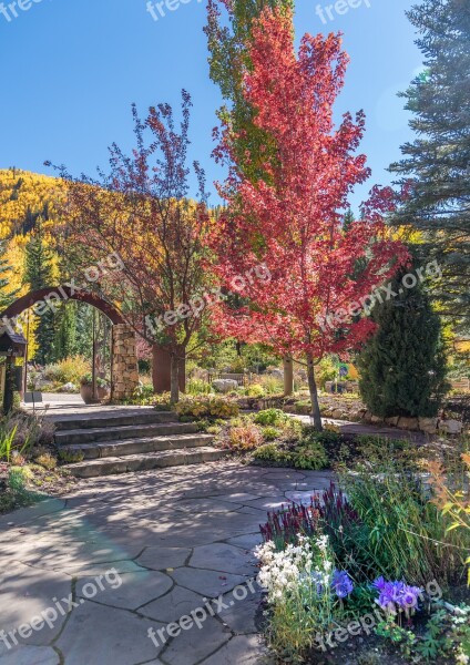 Vail Colorado Betty Ford Park Path Foliage