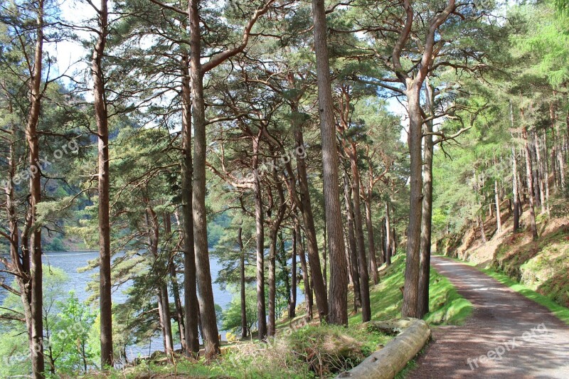 Scenery Ireland Glendalough Landscape Irish